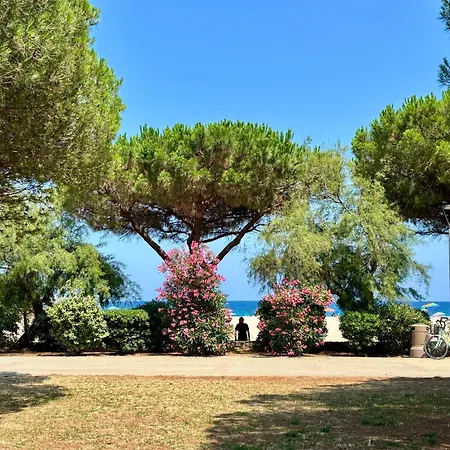 Avec Jardin Front De *